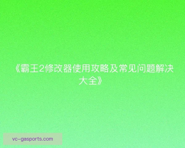 《霸王2修改器使用攻略及常见问题解决大全》